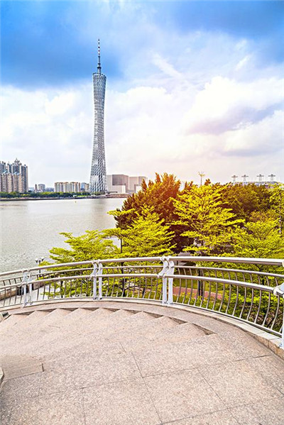 深圳喝茶：自然与文化的交融